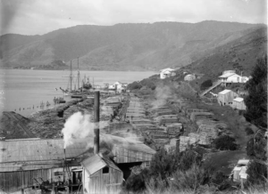 Whangape Timber Company, Whangapē, 1930s
